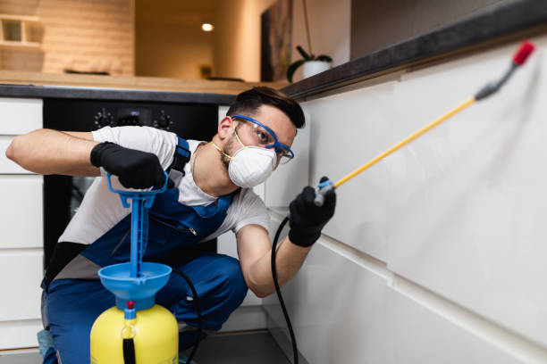 Best Insect Control  in Kaufman, TX