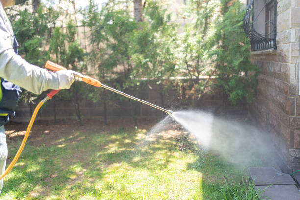 Reliable Kaufman, TX Pest Control Solutions