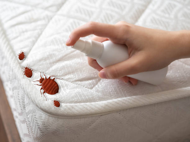 Best Emergency Pest Control  in Kaufman, TX